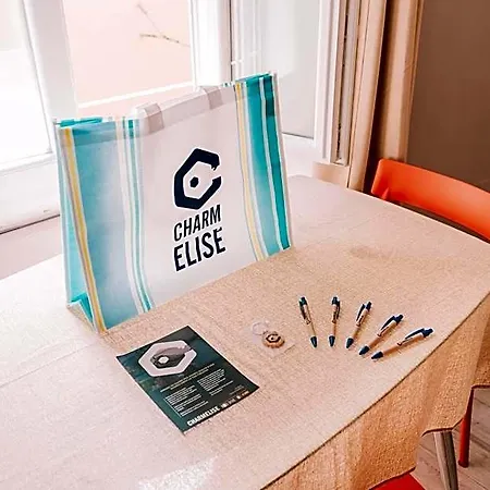 Hotel Charmelise 3*