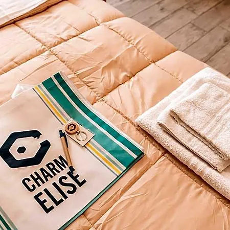 Charmelise Hotel 3*